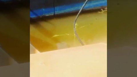 Земснаряд EcoDrage-S электрический