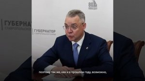 Глава Ставрополья поручил уделить внимание новогодним елкам для детей участников СВО