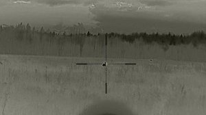 Тепловизионный прицел Longot TL650Pro и тепловизионный монокуляр Fh35r v2