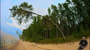 Два направления в мировой политике. Главная причина инфляции.