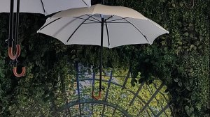 Атмосфера и сердце Петербурга