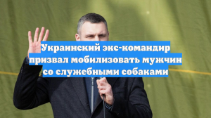 Украинский экс-командир призвал мобилизовать мужчин со служебными собаками
