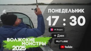 ВОЛЖСКИЕ МОНСТРЫ 2025 АНОНС