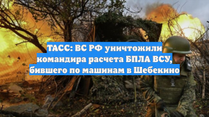 ТАСС: ВС РФ уничтожили командира расчета БПЛА ВСУ, бившего по машинам в Шебекино