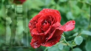 Отличная песня для хорошего настроения. Новый день!