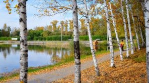 Мой край родной