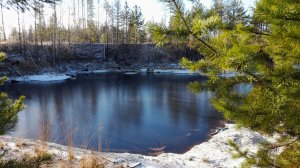 Прогулка c МД по лесу в (-5°С). Завершение сезона приборного поиска 2025г.