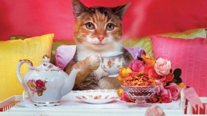 Стрим 🔴 Субботниковский!!!!!!)