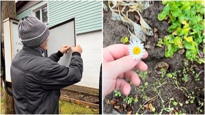 8 ноября. Что за люди😡?Опять сломали счетчик. Погадаем? Светофор. Покупка телевизора.