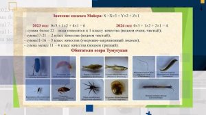 Видео о проекте Зорина Д.К.