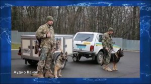 «Лучше, чем пехотинцы»  на Украине хотят мобилизовать новую категорию людей