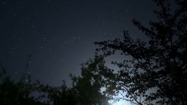 Музыка для отдыха