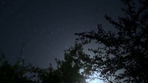 Музыка для отдыха