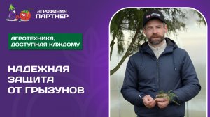 КАК ЗАЩИТИТЬ САД И ДОМ ОТ ГРЫЗУНОВ | Простые и надёжные способы