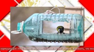 19.11.2025 Интересные факты. Как научить детей заботиться о природе