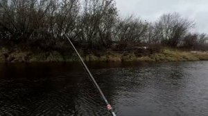 Рыбалка поздней осенью на реке. Рыбалка в Латгалии.