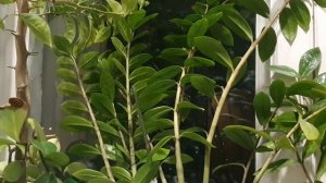 Накатило что-то...