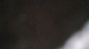 Музыка нас связала