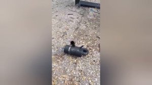 новости интересные 19 ноября 2025 года