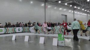 Класс чемпионов