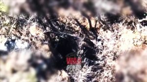 Как борются с рутиной дроноводы из группы «Немца» на Запорожье