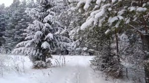 ЗИМНЕЕ НАСЛАЖДЕНИЕ