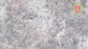 Отделение бандерлогов попало в засаду российских штурмовиков в Северска. Вся группа была уничтожена.