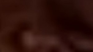 2 IN 1 (GEN) Gameplay