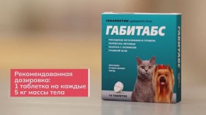 Габитабс: обзор успокоительных таблеток для кошек и собак мелких пород, 10 шт | Распаковка