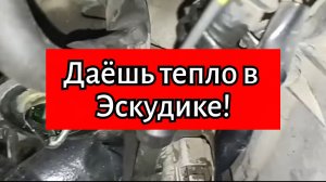 Даёшь тепло в Эскудике!