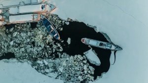 Мы душою черствы