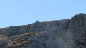 Бойнус-Тепе... Бабуган-яйла... 01.11.2025