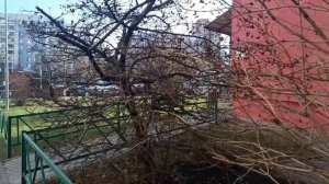 Понравилась песня🎶🎤🎵 **ГОЛУБИ**.Потомучто фамилия моя ГОЛУБЕВА.... Неплохо.....