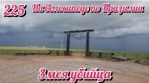 Змея убийца на Бразильской дороге. На велосипеде по Южной Америке. День 225 Бразилия