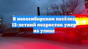 В новосибирском посёлке 13-летний подросток умер на улице
