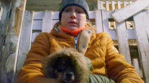 Простая деревенская Жизнь,устроили забастовку