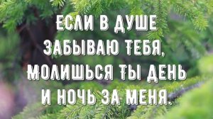 Ты никогда не предашь меня - минус мой 1