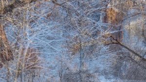 РАНО ВЫПАЛ СНЕГ... (Фото Ольги КУРАНОВОЙ (Н. Новгород) - Сергей ДРОЗДОВ и ВИА "СИНЯЯ ПТИЦА)"