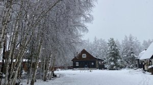 Белое чудо...