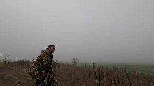 Открытие и закрытие по фазану 8.11.2025