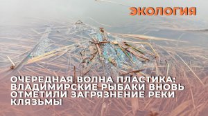Очередная волна пластика: владимирские рыбаки вновь отметили загрязнение реки Клязьмы