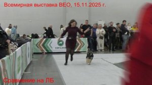 Сравнение на ЛБ