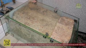 В Волгоградской митрополии отметили день прославления преподобной Арсении