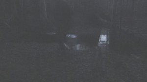 Поздний октябрь. #2