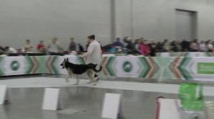 Моншер Вирсаль Гроза