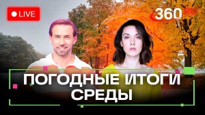 Дед Мороз, кузнец и пчеловод. Погода на 19 ноября. Метеострим 360