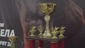 В Набережных Челнах прошёл 22-й турнир боевых единоборств