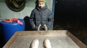 VID_20251119_191911_260