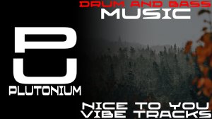 Vibe Tracks - Nice To You [Drum And Bass]