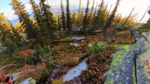 Ближние останцы у г.Б.Изыгаш